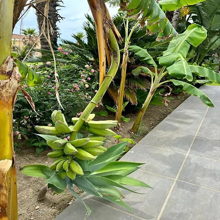 Villa Drita-beachfront With Private Pool